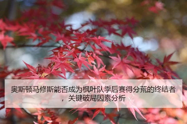 ao-si-dun-ma-xiu-si-neng-fou-cheng-wei-feng-ye-dui-ji-hou-sai-de-fen-huang-de-zhong-jie-zhe-guan-jian-po-ju-yin-su-fen-2-362.jpg