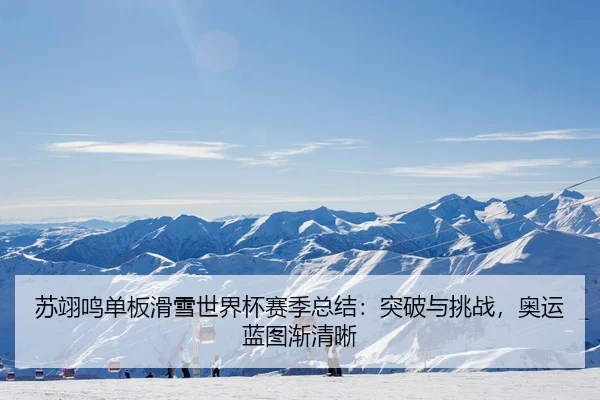 苏翊鸣单板滑雪世界杯赛季总结：突破与挑战，奥运蓝图渐清晰