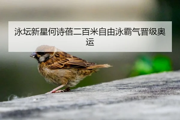 泳坛新星何诗蓓二百米自由泳霸气晋级奥运