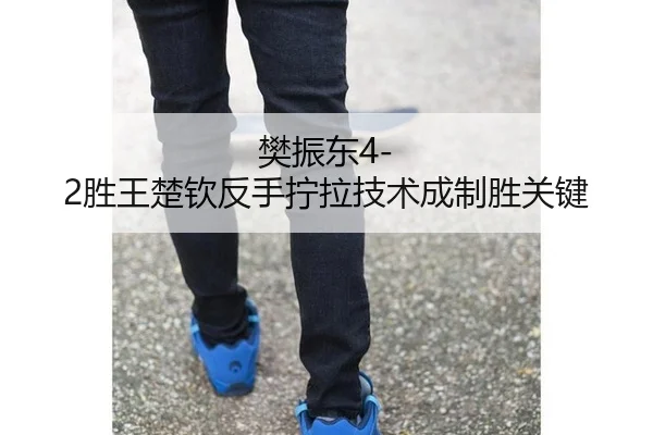 fan-zhen-dong-sheng-wang-chu-qin-fan-shou-ning-la-ji-shu-cheng-zhi-sheng-guan-jian-3-474.jpg